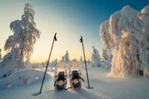 snowshoes in snow in clear sky with trees full of snow