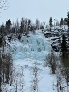 IMG_4795