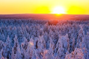 Snowmobile Adventure in Lapland 6